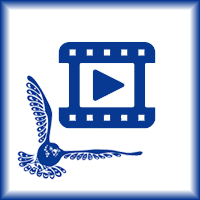 https://arrl-web002.artsrn.ualberta.ca/icrc/converted/ICS_TV_Archive_H264_pt1/89_03_T_Reindeer_Station_History_Richard_Binder_Gerald_Falk_Tommy_Smith-H.264.mp4